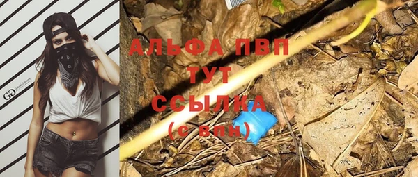 гидра Богданович