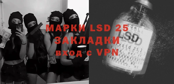 гидра Богданович