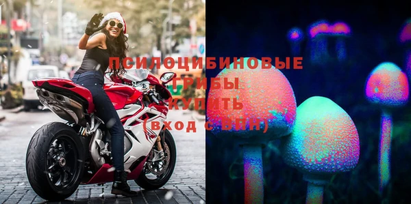 гидра Богданович