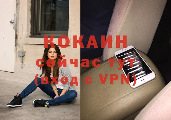 гидра Богданович