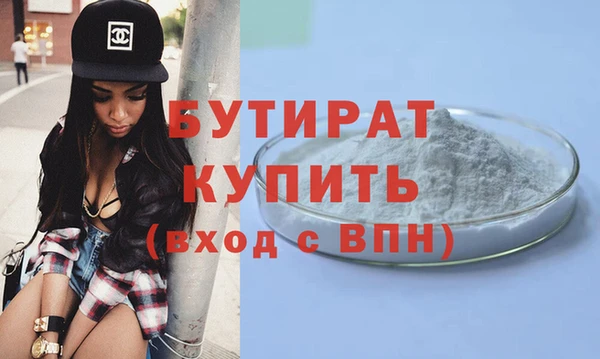 индика Инсар
