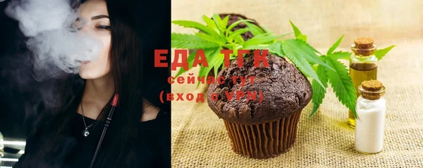 гидра Богданович