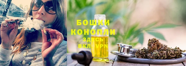 гидра Богданович