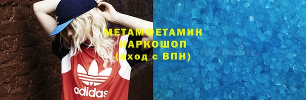 гидра Богданович
